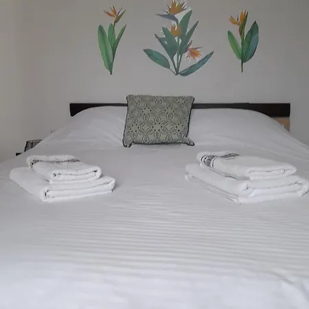 Casa Abp